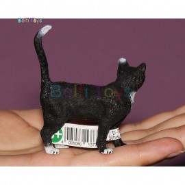 گربه سیاه اشلایش 13770
